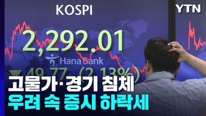 코스피, 1년 8개월 만에 2,300선 무너져...환율, 장중 1,310원 돌파 / YTN