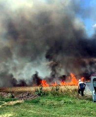 TEKİRDAĞ'DA 50 DÖNÜM BUĞDAY TARLASI YANDI