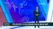 Polisi Sita 1,8 Kg Ganja yang Dikendalikan Napi Lapas Kelas II A Ternate