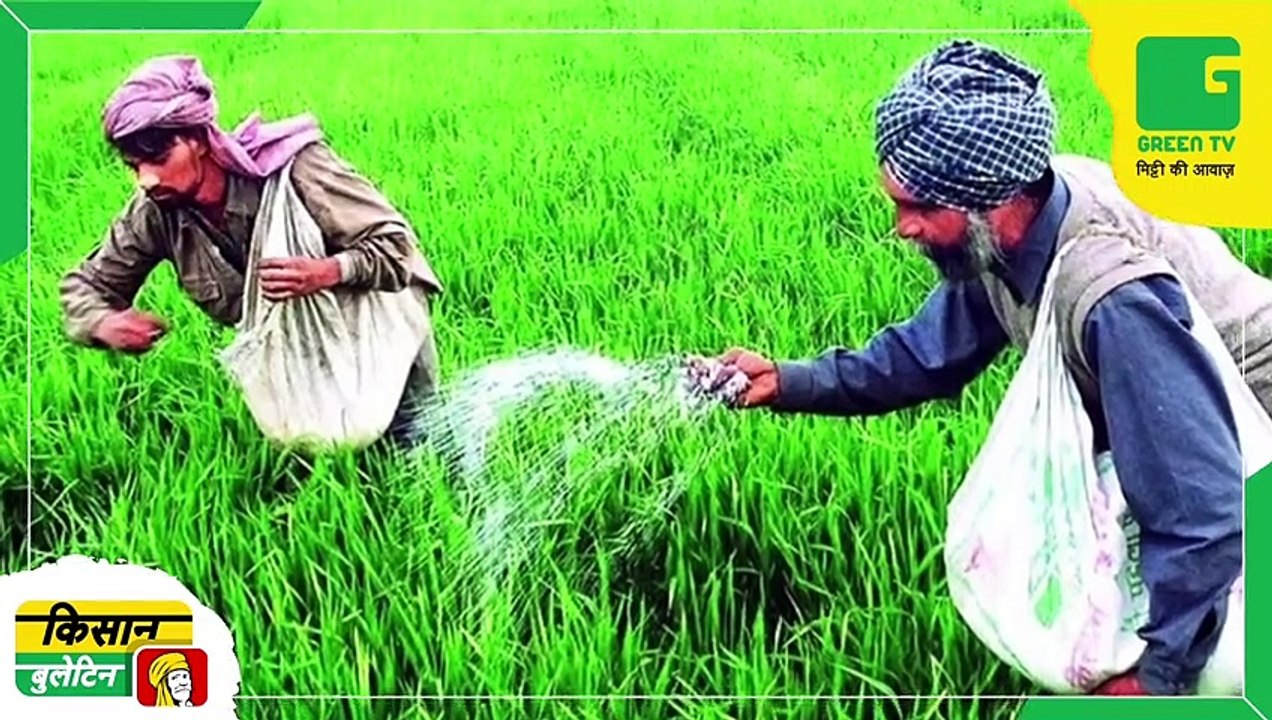 Kisan Bulletin - सरकार की नई सौर ऊर्जा नीति से किसानों को लाभ, 96 प्रतिशत सब्सिडी पर ले सकेंगे Solar Pump | Green TV