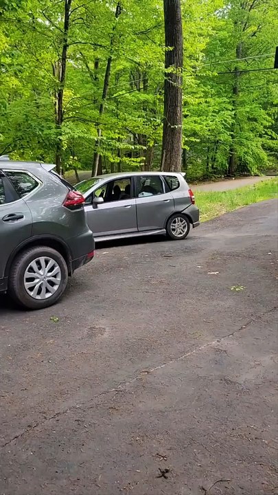 Racoon Grabs Goodies From Car