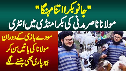 "Janu Bakra Itna Mehnga" - Maulana Nasir Madni Ki Bakra Mandi Mein Entry