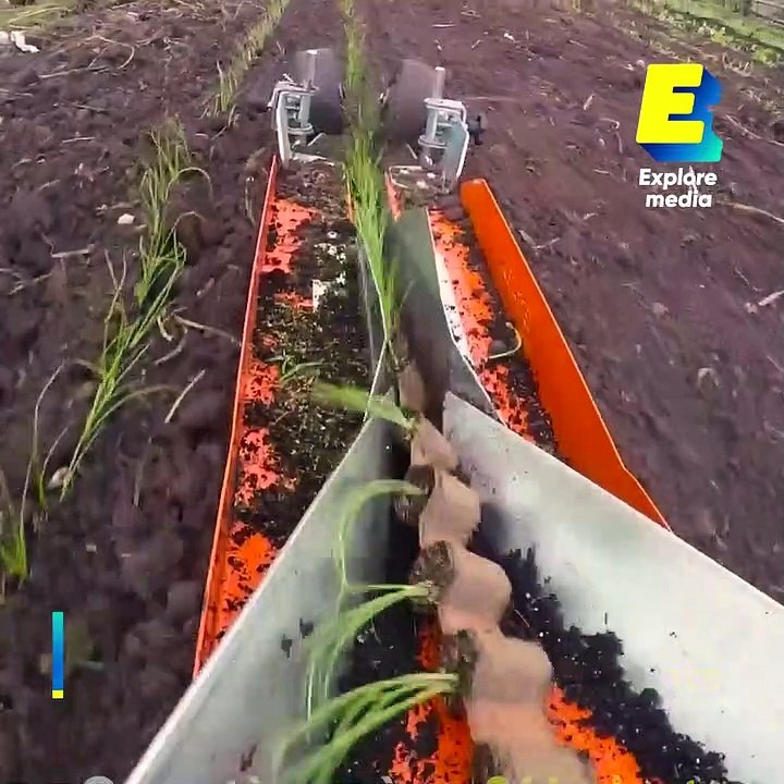 PaperPot, un système de plantation ingénieux