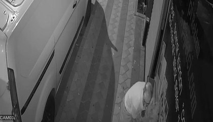 Zeytinburnu ve Sultangazi'de çiçek hırsızlığı kamerada