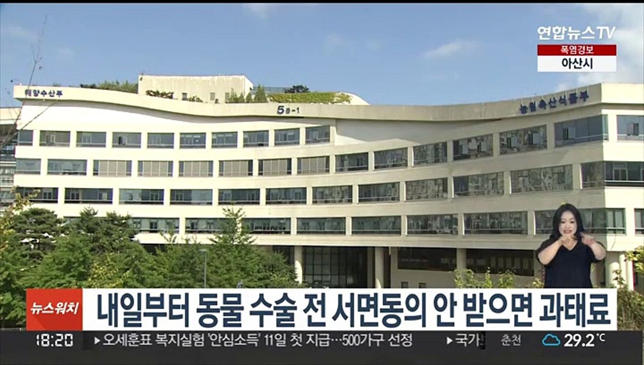 내일부터 동물 수술 전 서면동의 안받으면 과태료