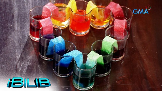 iBilib: Tissue Art Painting | Experiment Time