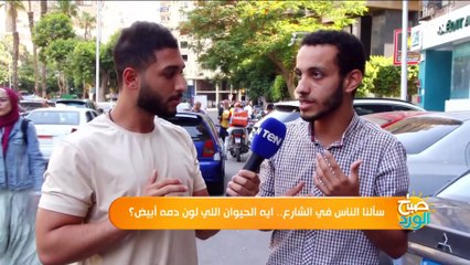 سألنا الناس في الشارع.. ايه الحيوان اللي لون دمه أبيض؟