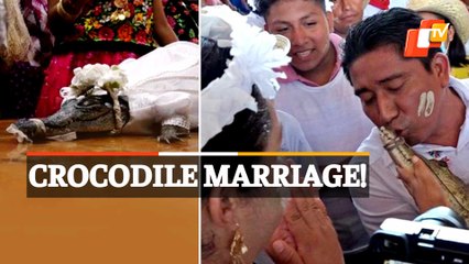 WATCH: Mexican Mayor Weds Alligator For Nature’s Bounty