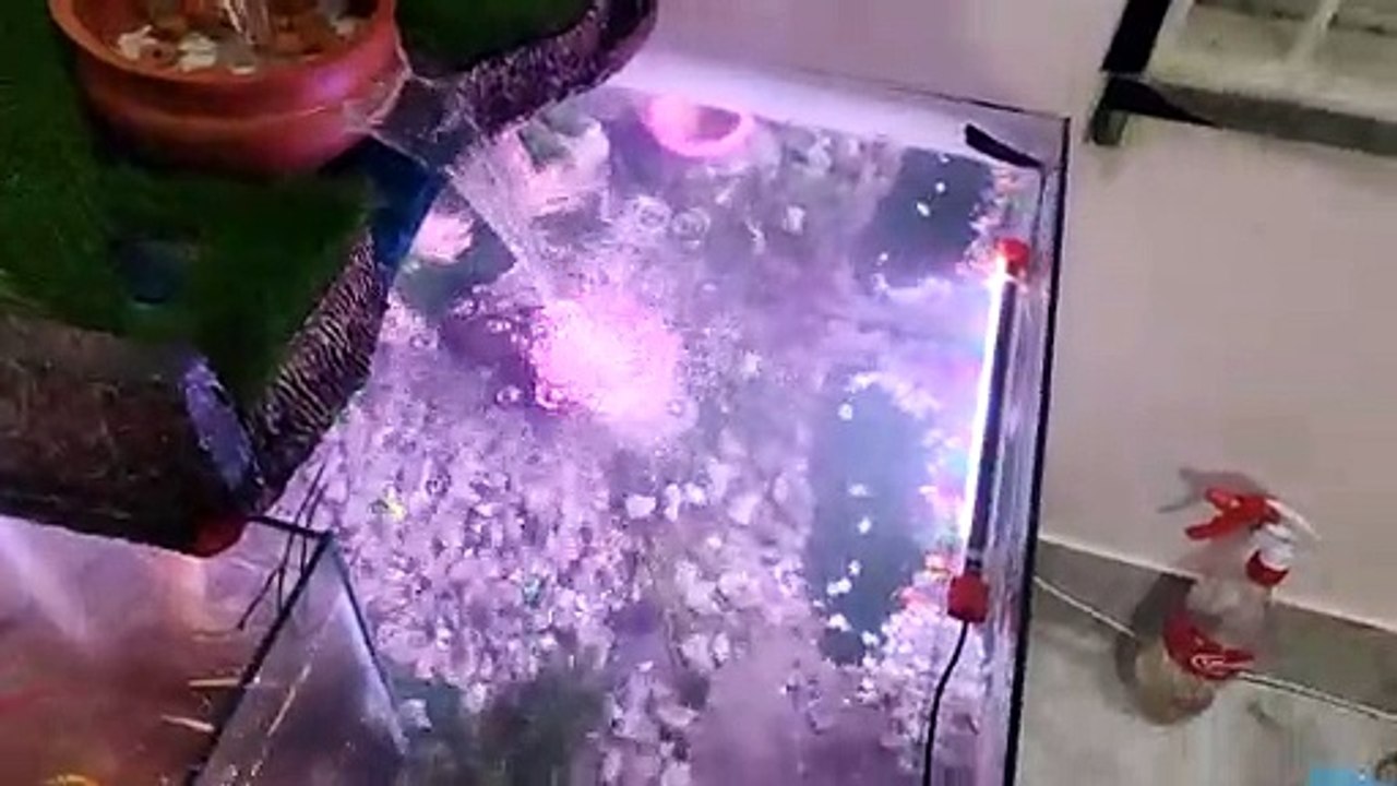 My aquarium first time