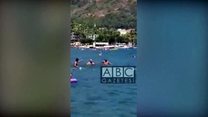 Marmaris'te köpek balığı paniği! Vatandaşlar paspasla kovaladı
