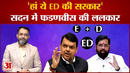 महाराष्ट्र सदन में देवेंद्र फडणवीस ने समझाया 'ED' का मतलब | Maharashtra Floor Test | EkNath Sindhe