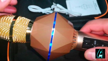 Denicer Wireless Bluetooth Karaoke Microphone KM770 (Review)