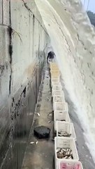 Ce pêcheur s'est installé sous un barrage et c'est un très bon spot