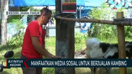 Pedagang Manfaatkan Media Sosial Untuk Berjualan Hewan Kurban