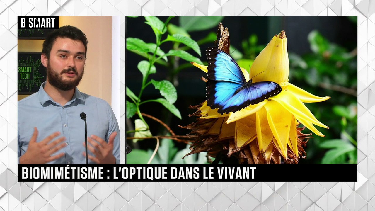 SMART TECH - Le rendez-vous du lundi 4 juillet 2022