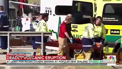 VACATION FROM HELL: The Whakaari/White Island Eruption