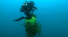 Porto Venere (SP) - Guardia Costiera rimuove vecchio impianto di piscicoltura dai fondali (04.07.22)