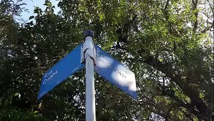 Veículo oficial se envolve em acidente no Centro de Cascavel