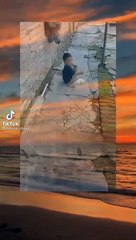 Tutorial kasih makan ayam