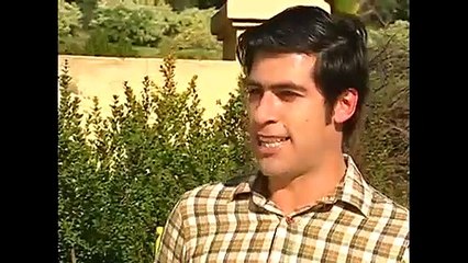 Amores de mercado cap 8