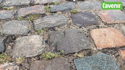 Reconnaissance de l'étape des pavés du Tour avec Mathieu Criquielion