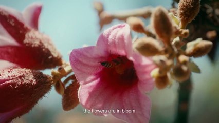 Anuncio promocional de Fairmont Hoteles