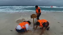 Çin'de Chaba Tayfunu'ndan zarar gören deniz kaplumbağalarının evleri taşındı