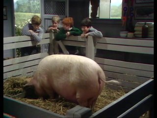 Just William (1977) - S01E07 - High Quality DVD -  William and the Prize Pig