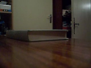 hardflip manual to shove-it out