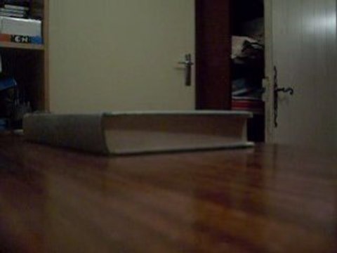 hardflip manual to shove-it out