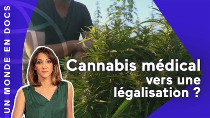 Cannabis médical : vers une légalisation ?