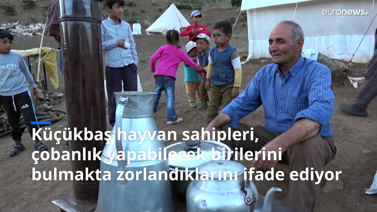Türkiye'deki mültecilerin farklı yüzü: Yüksek dağlarda çobanlık yapan Afganlar