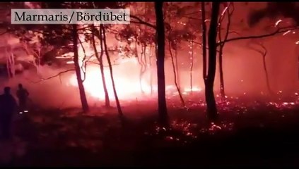 Marmaris Kent Konseyi'nden Kızılbük çağrısı: Bilirkişi raporları doğanın yok edilişini belgeledi; mahkemeden adalet bekliyoruz!