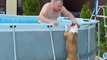 Quand ton chien veut absolument aller se baigner dans la piscine