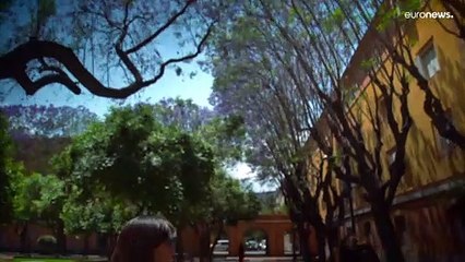 Murcia: più di 650 rifugiati hanno usufruito del protocollo per l'inserimento socio-lavorativo