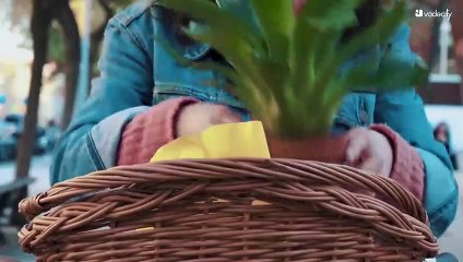 Así son las soluciones de movilidad de Vadecity