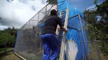 Aves resgatadas do cativeiro dão seu primeiro voo livre em Brumadinho