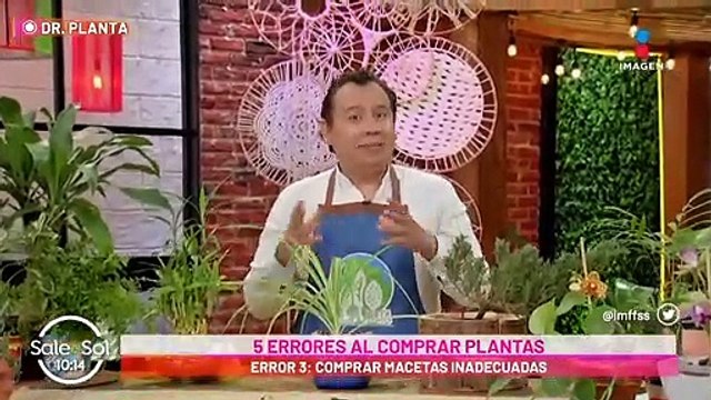 NEW 5 Errores más comunes al tener plantas y cómo evitarlos