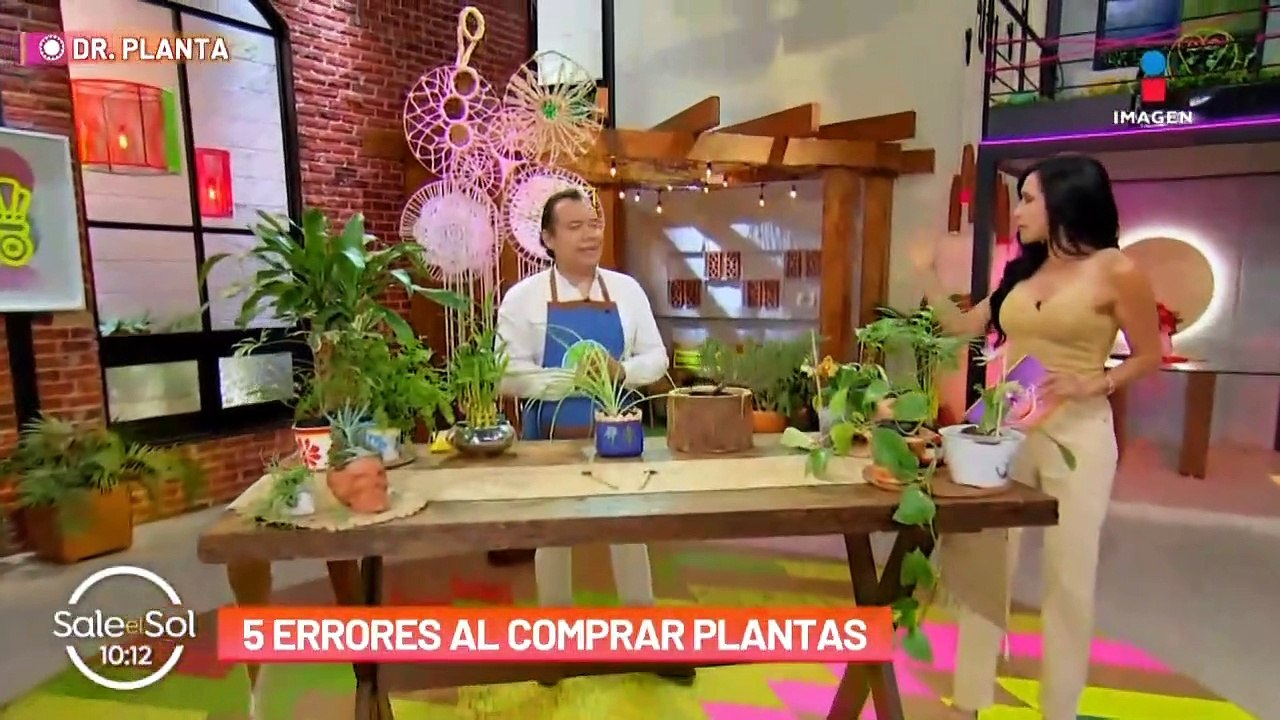 NEW 5 Errores más comunes al tener plantas y cómo evitarlos