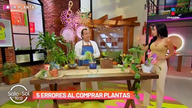 NEW 5 Errores más comunes al tener plantas y cómo evitarlos