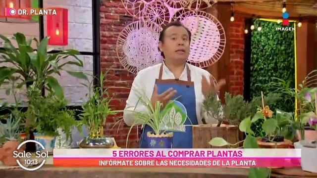 Último adiós a Fernando del Solar | Programa Completo 1 de julio 2022 | Sale el Sol