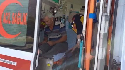 Son dakika! İki tırın çarpıştığı kazada 1 kişi yaralandı