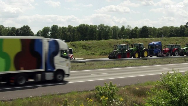El sector agrícola protesta en contra de reducir las emisiones de nitrógeno en Países Bajos