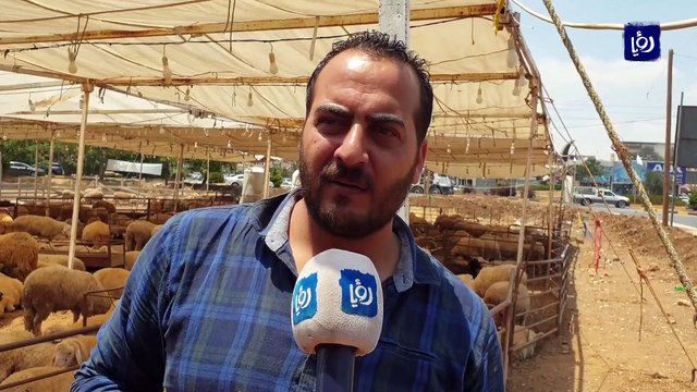 ازدحامات ولا بنية تحتية.. شكاوى من مواقع لبيع الأضاحي في إربد