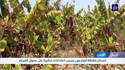 خسائر باهظة لمزارعين بسبب اعتداءات متكررة على محول كهرباء