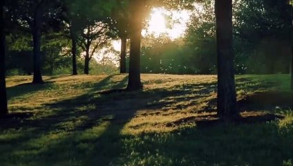 Vosotros sois | LLDM