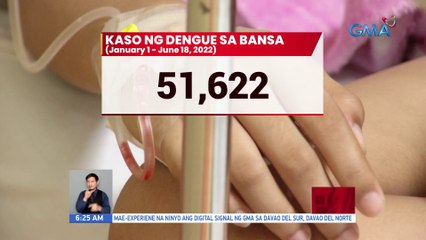 DOH: Kaso ng dengue, mas mataas nang 58% kumpara sa parehong panahon noong 2021 | UB