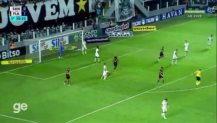 SANTOS 1 X 2 FLAMENGO _ MELHORES MOMENTOS _ 15ª RODADA BRASILEIRÃO 2022 _ ge.globo(480P)