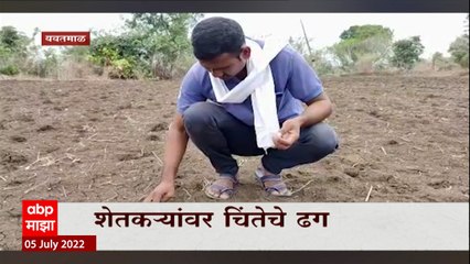 Yavatmal मध्ये पावसाची दडी, दुबार पेरणीचं संकट शेतकऱ्यांंवर चिंतेचे ढग : ABP Majha