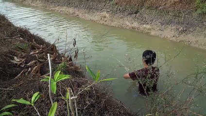 NHÀ ĐẤT CHÍNH CHỦ | GIĂNG LƯỚI TRONG VƯỜN NHÀ KIẾM MỚ CÁ LÒNG TONG KHO TIÊU